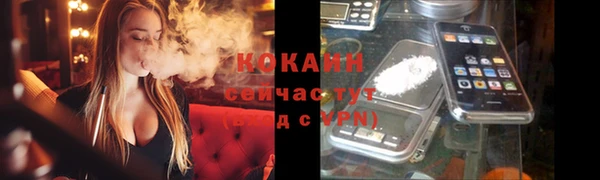 apvp Ельня