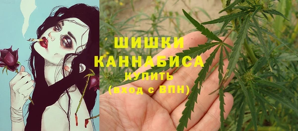 кокс Дмитров