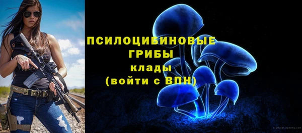 стаф Елизово