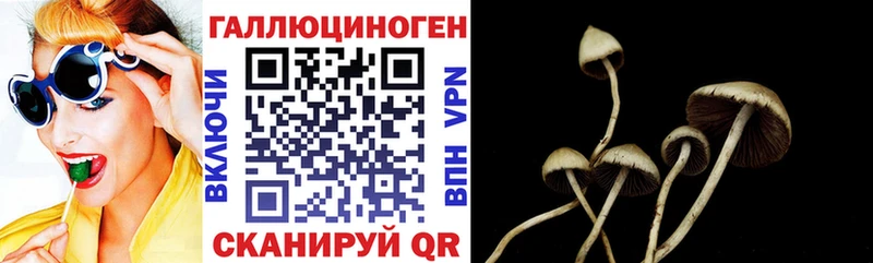 сколько стоит  Томари  Псилоцибиновые грибы Magic Shrooms 